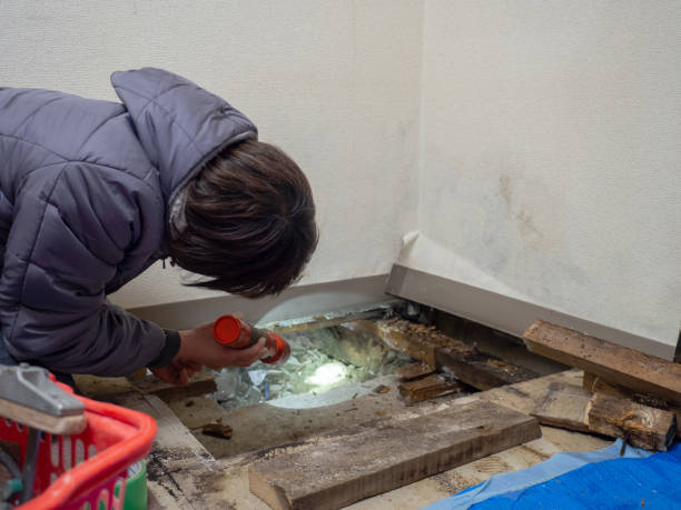 Best Post-Construction Mold Inspection  in Paramount, CA