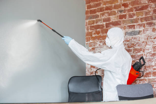 Best Indoor Air Quality Assessment  in Paramount, CA