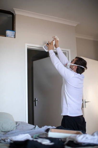 Best Mold Removal for HVAC Installations  in Paramount, CA