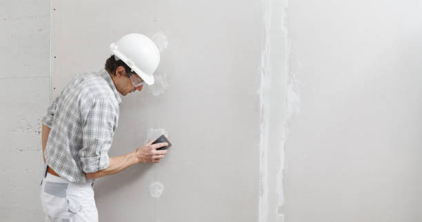 Best Environmental Consulting for Mold Prevention  in Paramount, CA