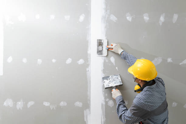 Best Mold-Related Health Consultation  in Paramount, CA