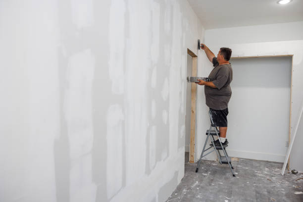 Professional Mold Removal in Paramount, CA