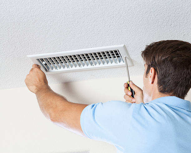 Best Mold Odor Removal Services  in Paramount, CA